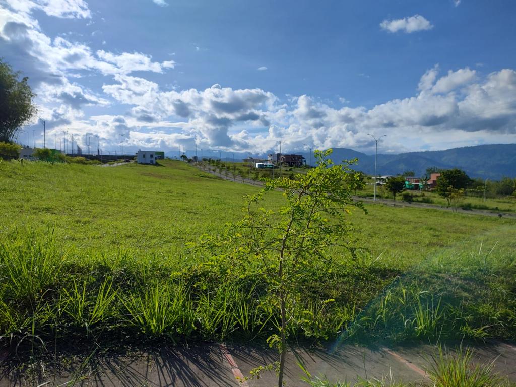 VENDO LOTE EN CONDOMINIO EN VITERBO CALDAS