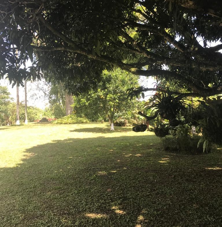 ALQUILER DE FINCA VEREDA EL CONGOLO VIA CONDINA PEREIRA