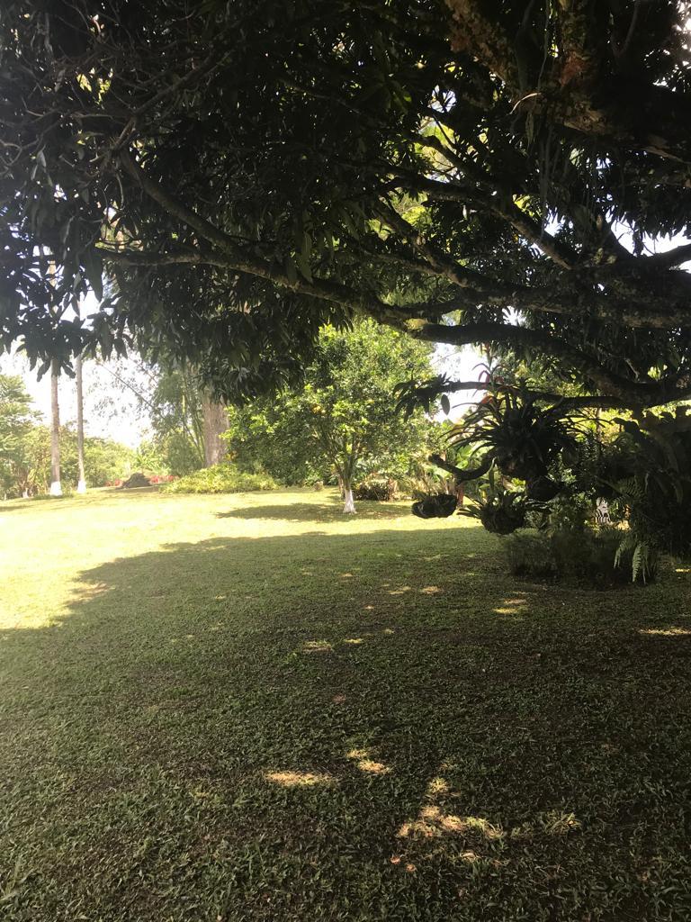ALQUILER DE FINCA VEREDA EL CONGOLO VIA CONDINA PEREIRA