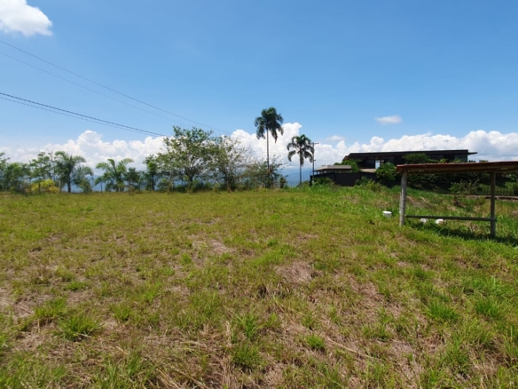 EN VENTA LOTE CERRITOS PEREIRA 10.007 M2