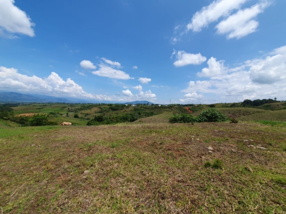 EN VENTA LOTE CERRITOS PEREIRA 13.000 M2