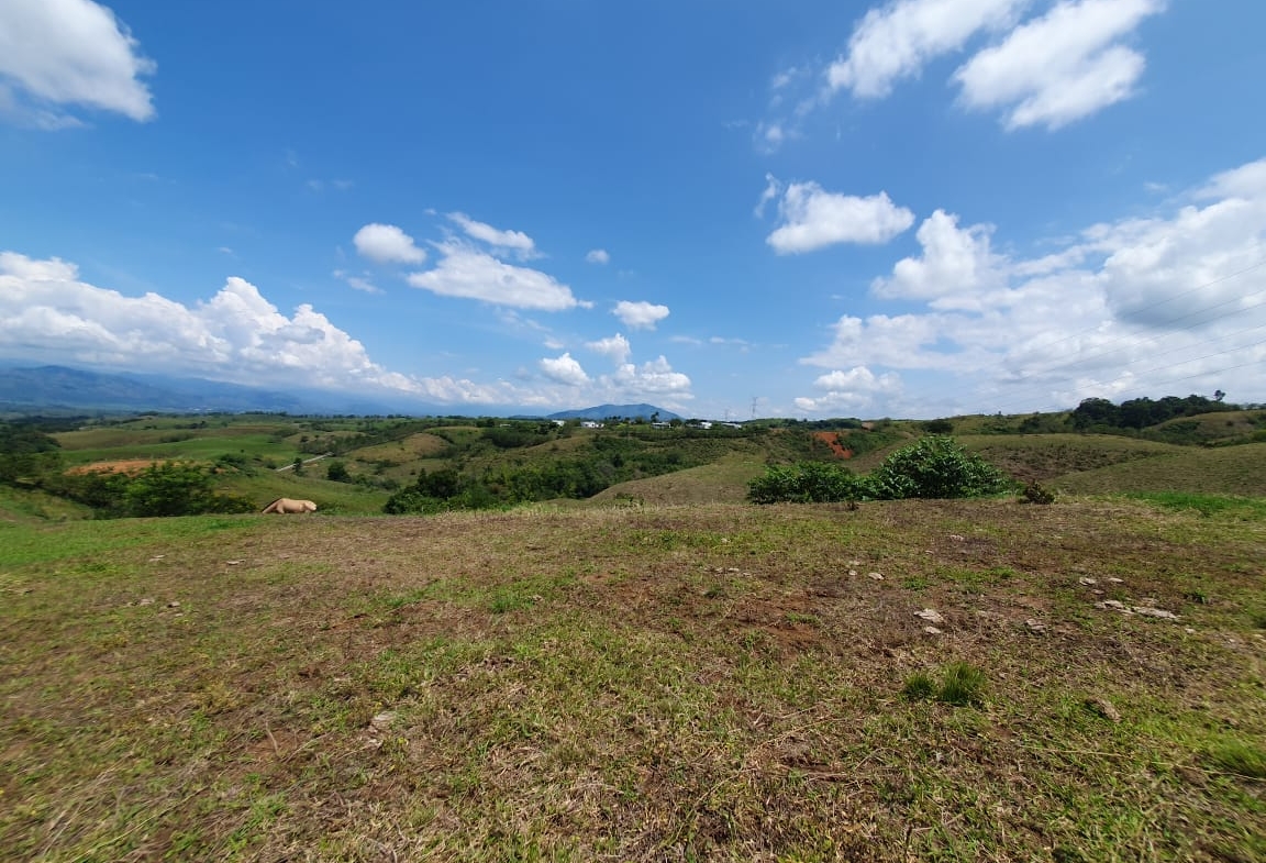 EN VENTA LOTE CERRITOS PEREIRA 13.000 M2