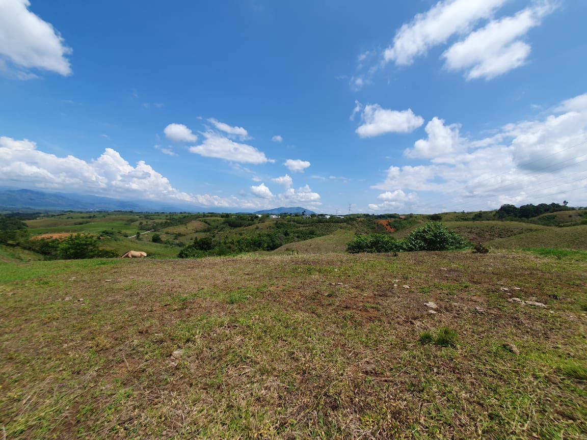 EN VENTA LOTE CERRITOS PEREIRA 13.000 M2