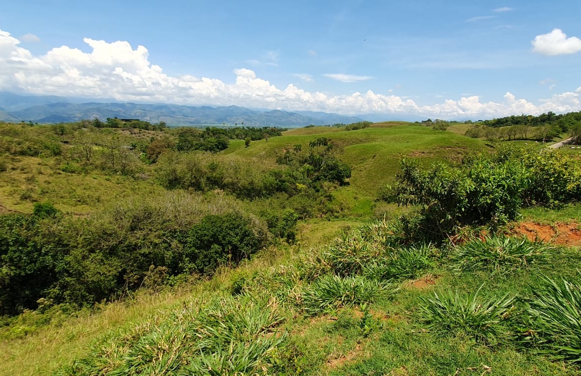 EN VENTA LOTE CERRITOS PEREIRA 11.517 M2