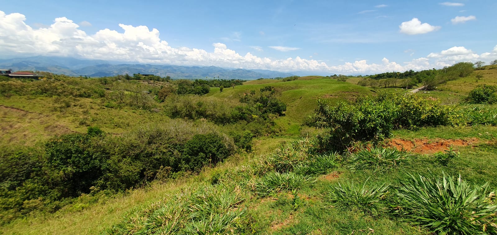EN VENTA LOTE CERRITOS PEREIRA 11.517 M2