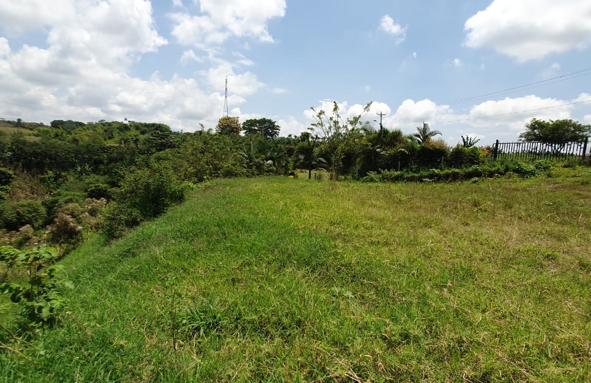 EN VENTA LOTE CERRITOS PEREIRA 11.403 M2