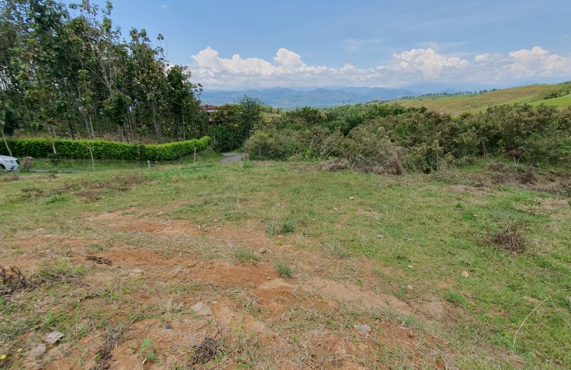 EN VENTA LOTE CERRITOS PEREIRA 11.103 M2