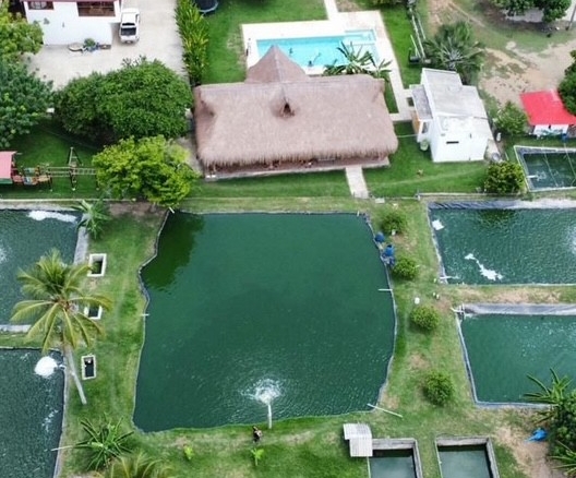 VENTA DE FINCA EN MONTERIA CORDOBA