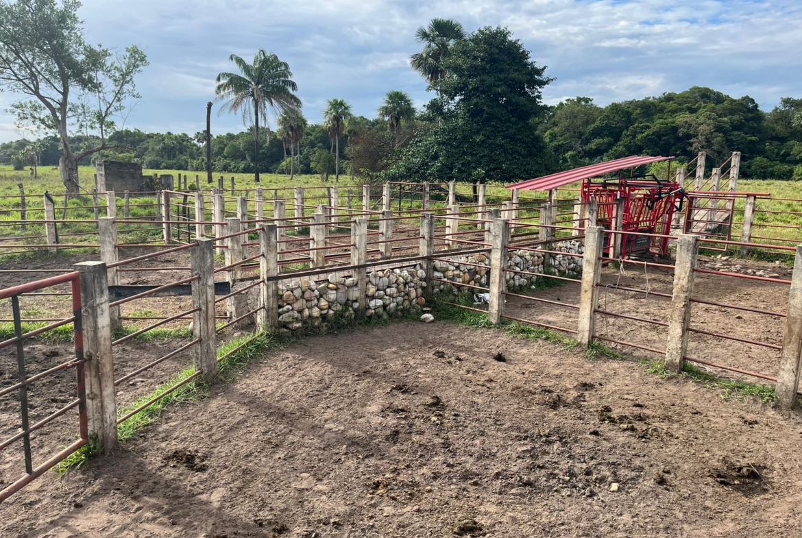 FINCA AGRO-GANADERA OPORTUNIDAD ÚNICA EN VILLANUEVA, CASANARE