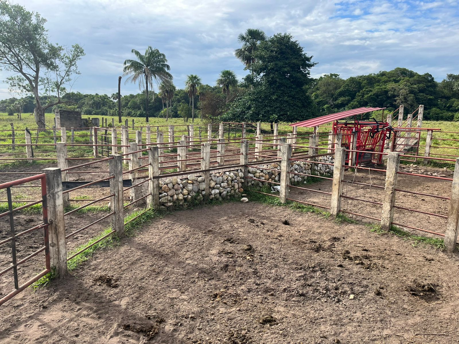 30507820260301041352 FINCA AGRO-GANADERA OPORTUNIDAD ÚNICA EN VILLANUEVA, CASANARE