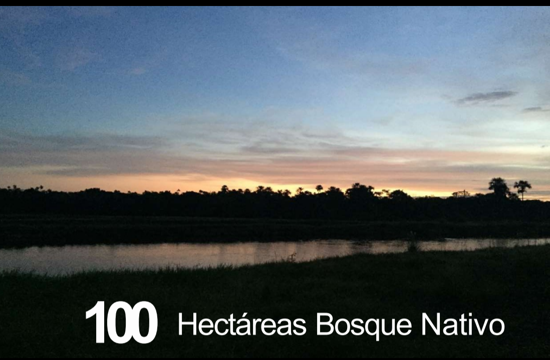 VENTA FINCA 263 HECT. EN VILLA NUEVA CASANARE