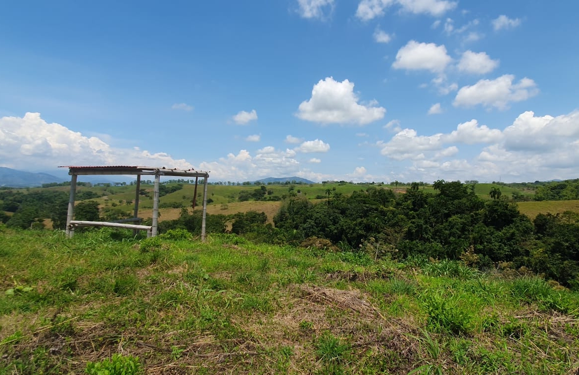 EN VENTA LOTE CERRITOS PEREIRA 11.027M2