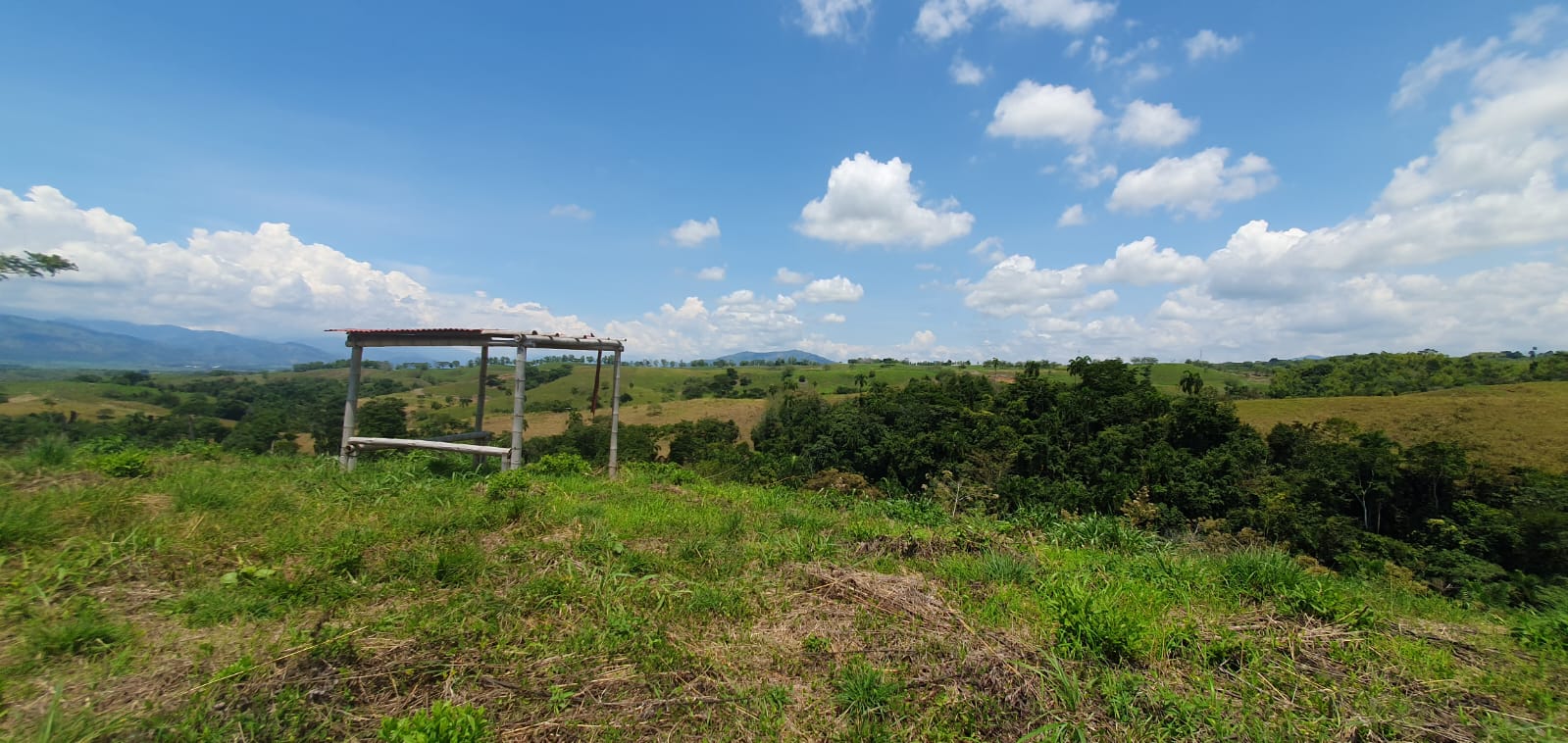 30507920250311061346 EN VENTA LOTE CERRITOS PEREIRA 11.027M2