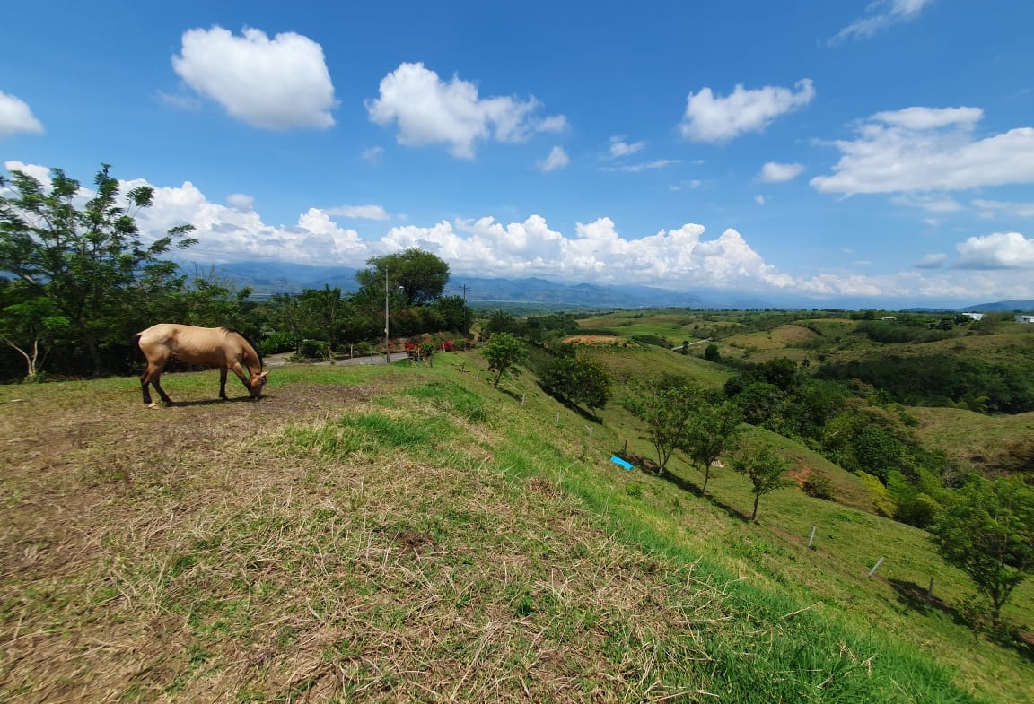 EN VENTA LOTE CERRITOS PEREIRA 13.000 M2