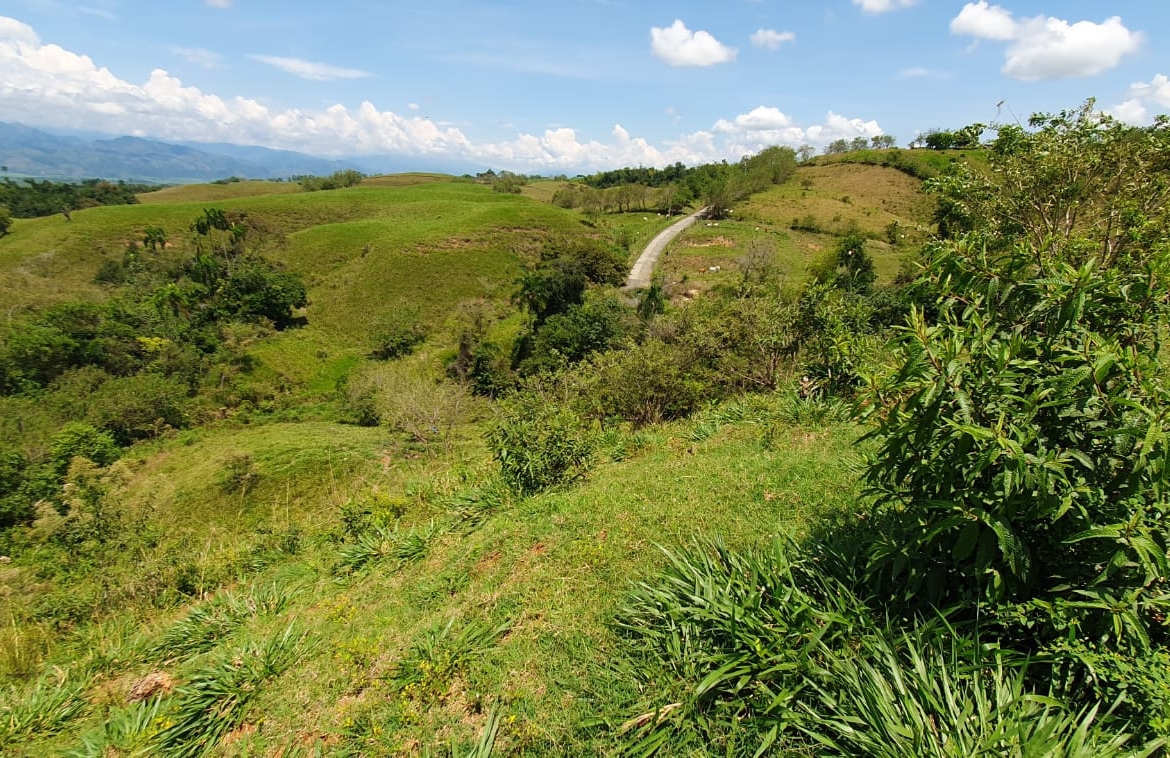 EN VENTA LOTE CERRITOS PEREIRA 11.517 M2