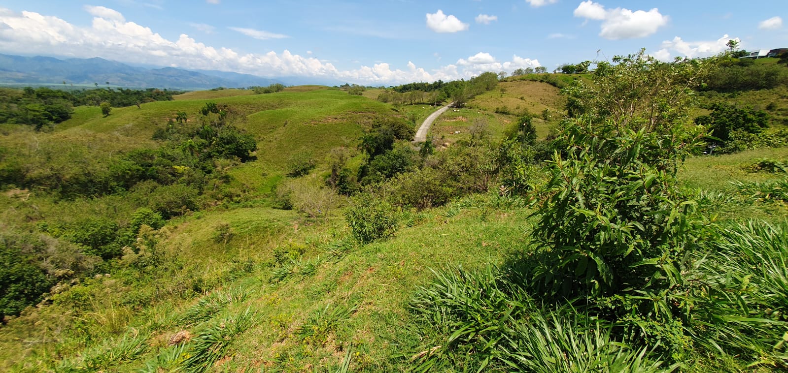 EN VENTA LOTE CERRITOS PEREIRA 11.517 M2