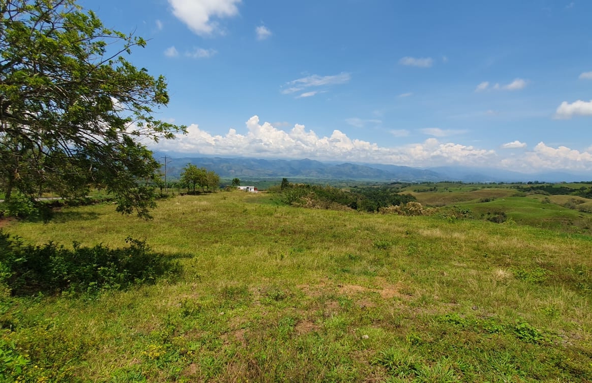 EN VENTA LOTE CERRITOS PEREIRA 11.403 M2