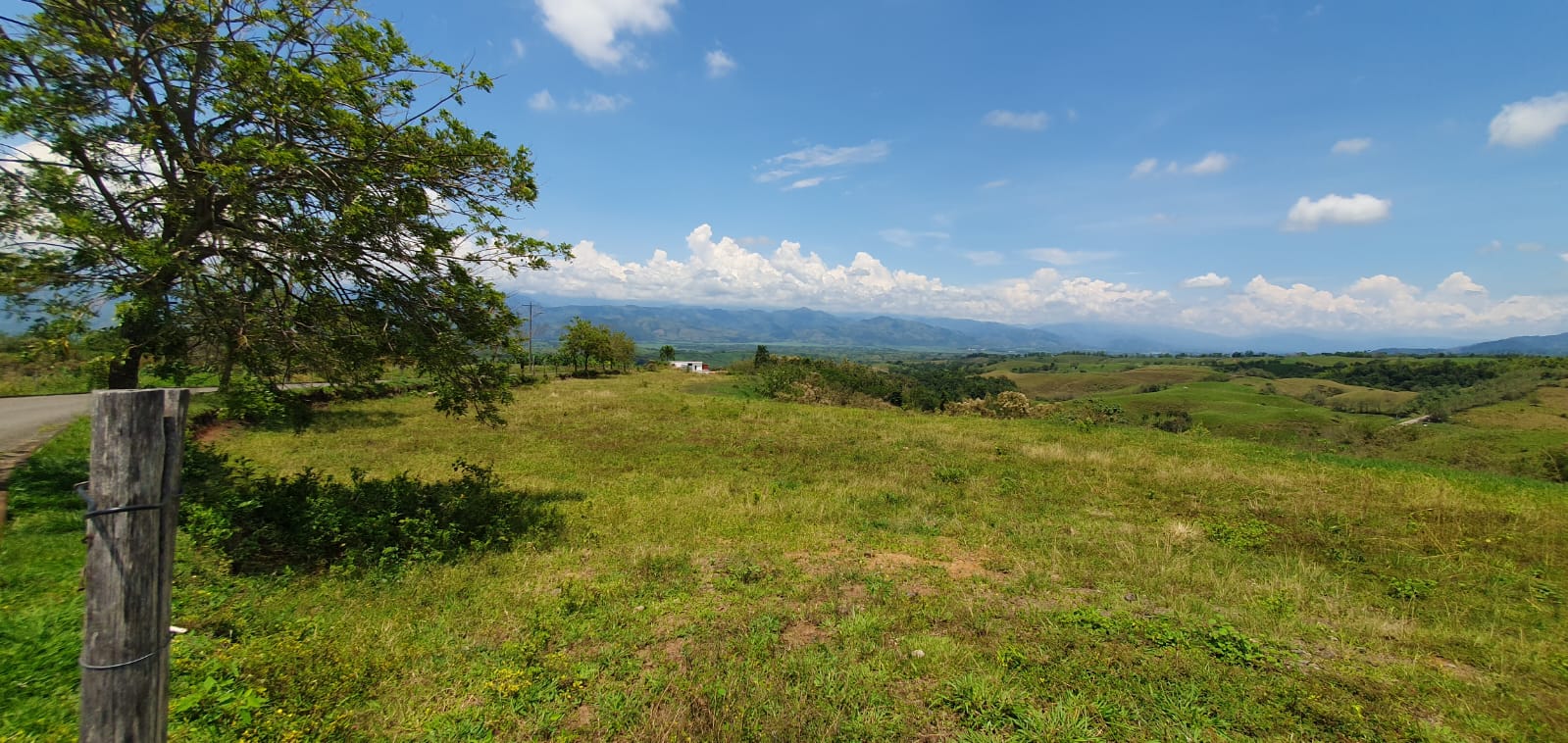 EN VENTA LOTE CERRITOS PEREIRA 11.403 M2