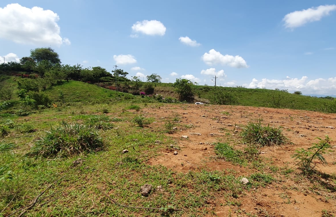 EN VENTA LOTE CERRITOS PEREIRA 13.500 M2