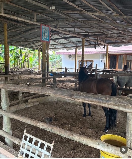 VENTA DE FINCA EN MONTERIA CORDOBA