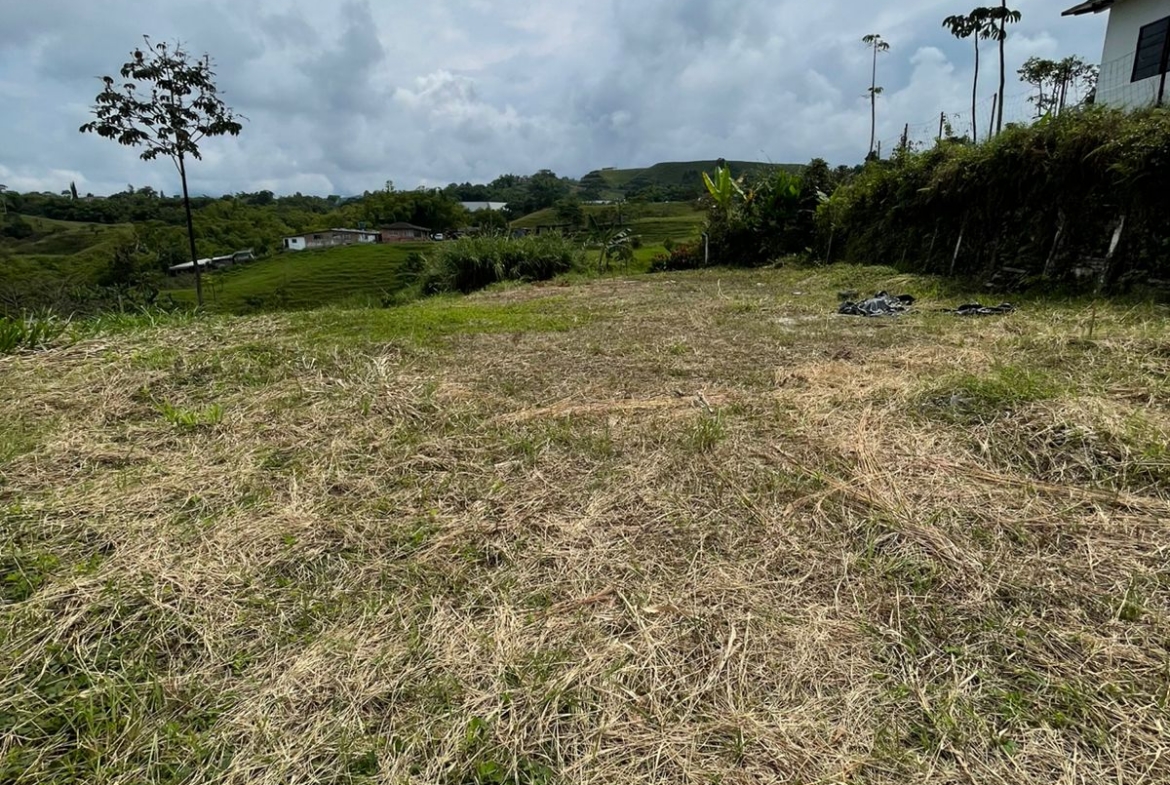 VENTA DE LOTE VÍA CONDINA